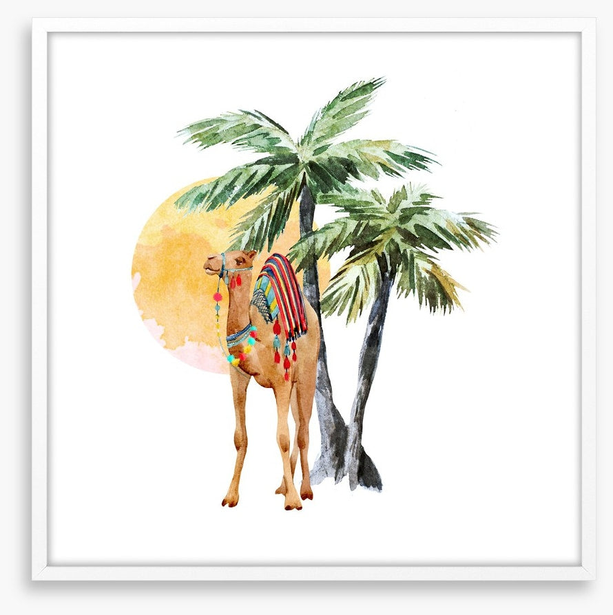 Hump day