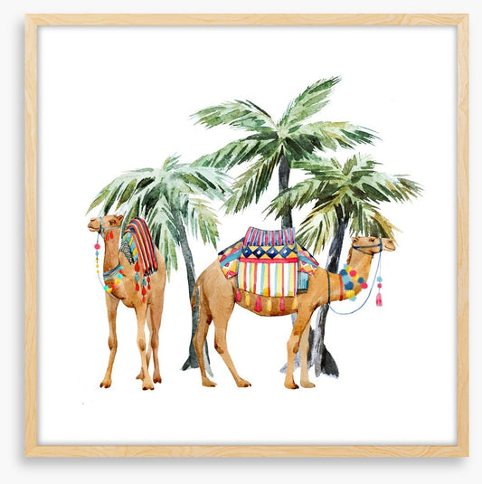 Date palm camels