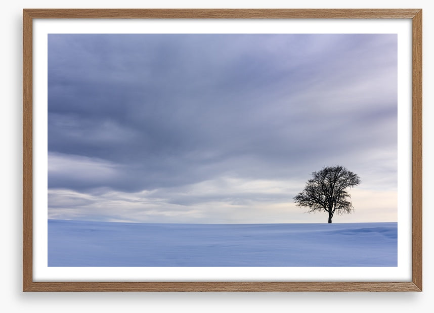Solitary in the snow