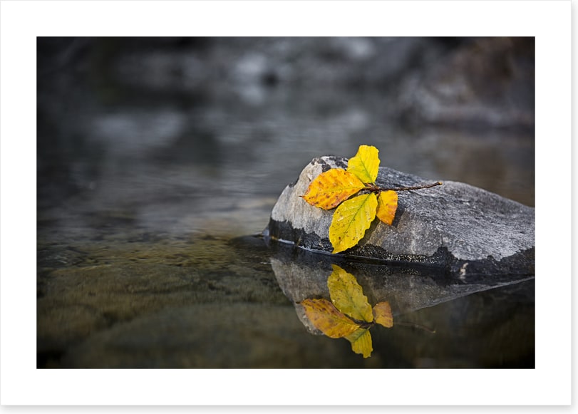 Fall by the wayside