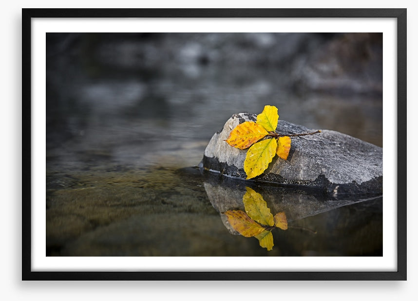 Fall by the wayside