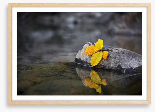 Fall by the wayside