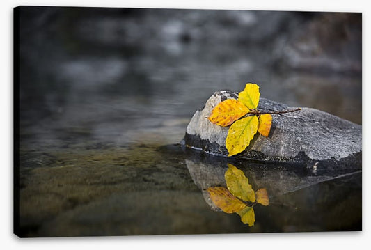 Fall by the wayside