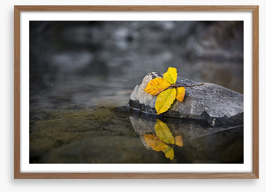 Fall by the wayside