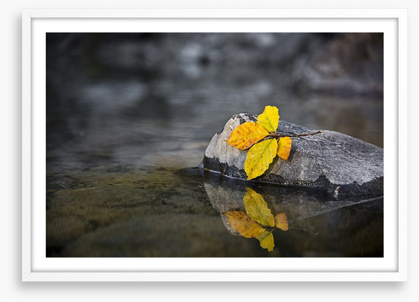 Fall by the wayside