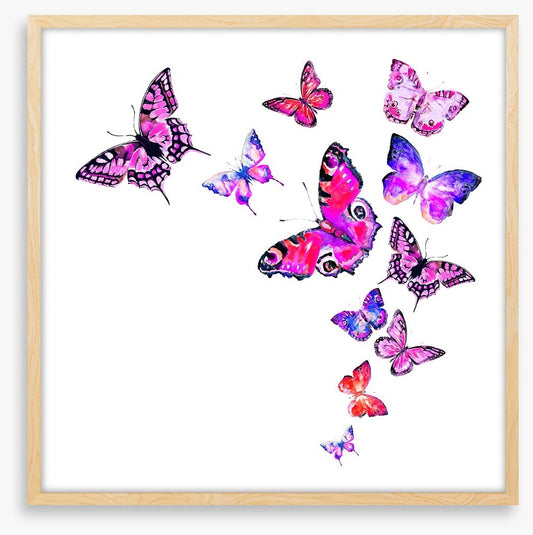 Pink monarchy