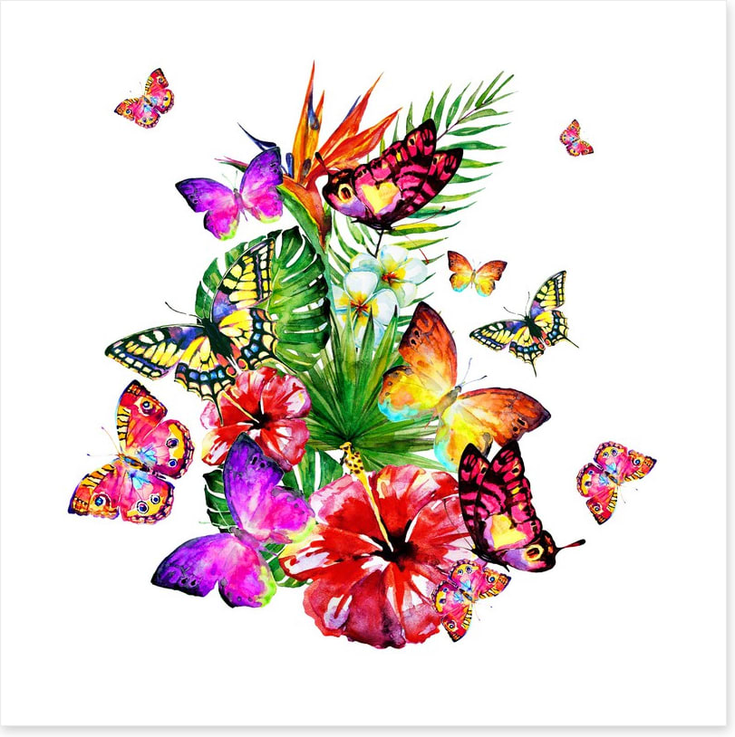Butterfly brouhaha