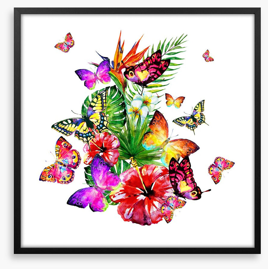Butterfly brouhaha