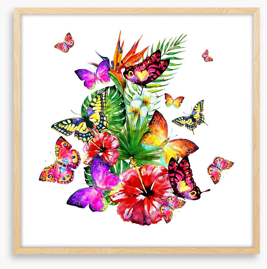 Butterfly brouhaha