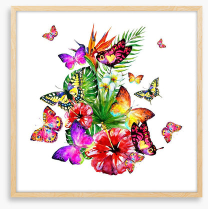 Butterfly brouhaha