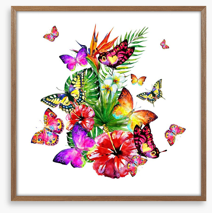 Butterfly brouhaha