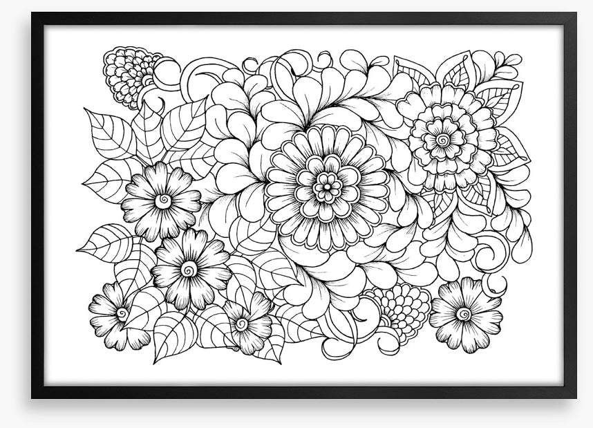 Colour me blooms