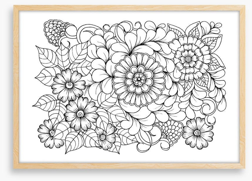 Colour me blooms