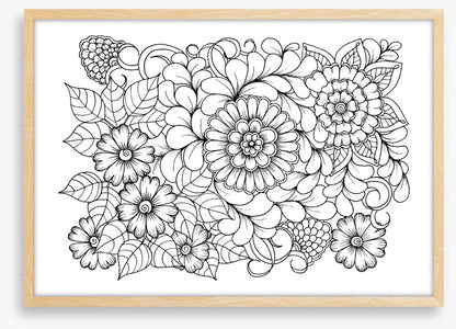 Colour me blooms