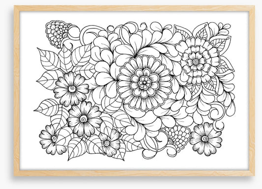Colour me blooms