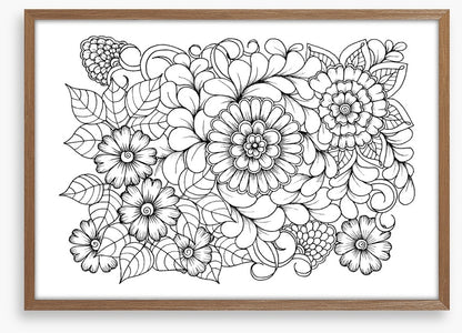 Colour me blooms