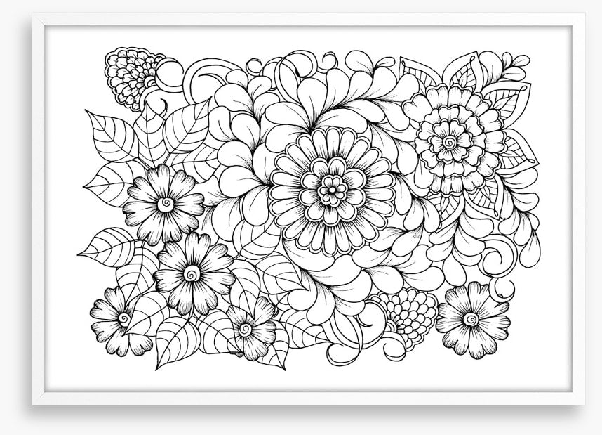 Colour me blooms