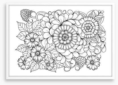Colour me blooms