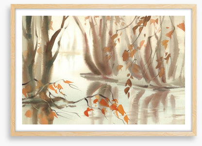 Autumn reflections