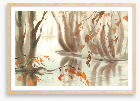 Autumn reflections