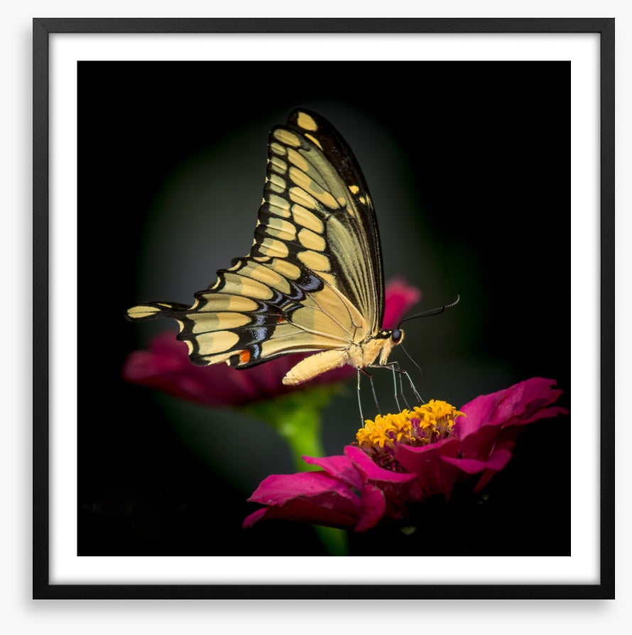 A delicate balance