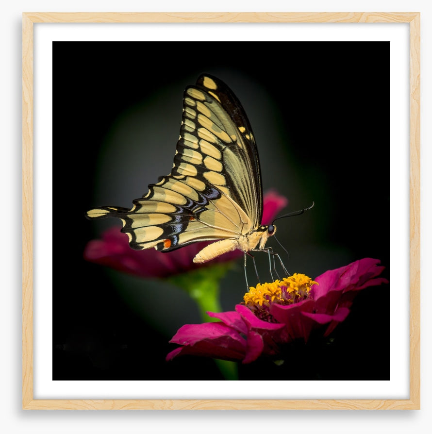 A delicate balance