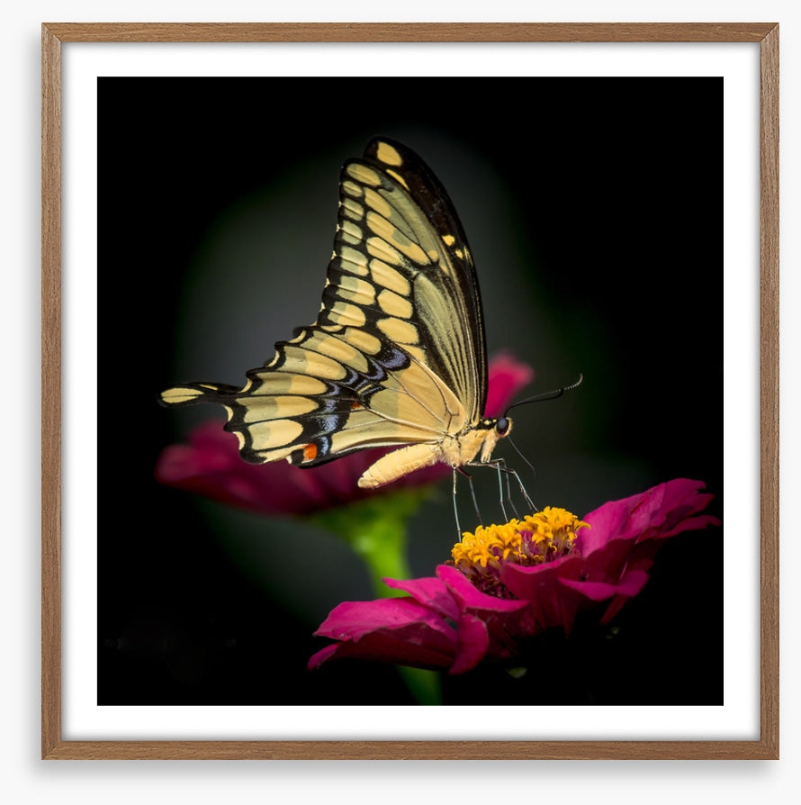 A delicate balance
