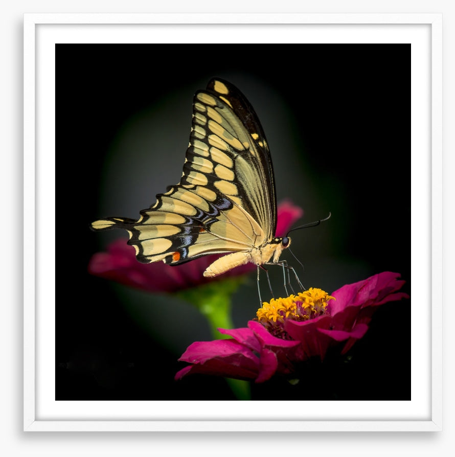 A delicate balance