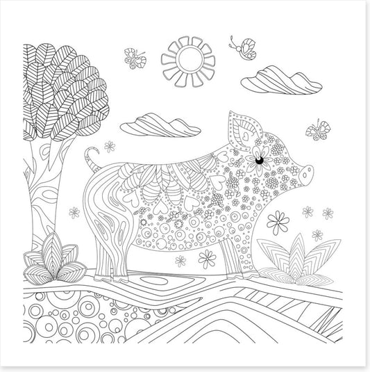 Colour me piglet