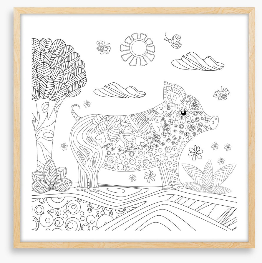 Colour me piglet