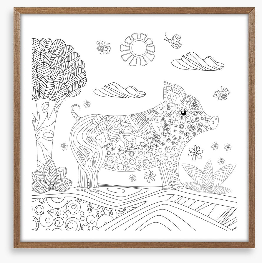 Colour me piglet