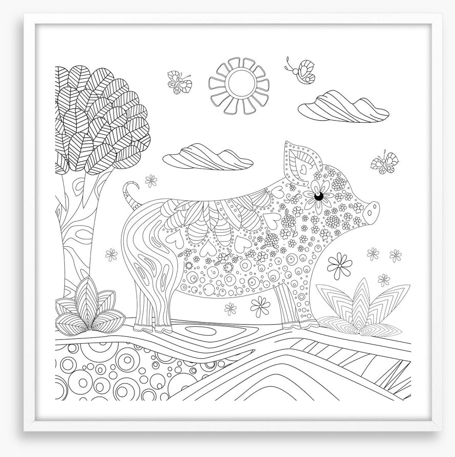 Colour me piglet