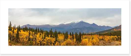 North America