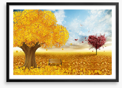 Riches of fall