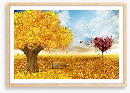 Riches of fall