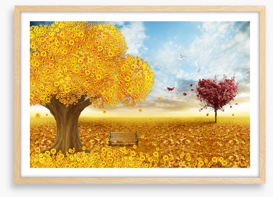 Riches of fall