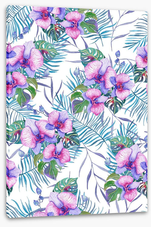 Orchids and palms