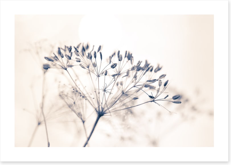 A fresh start