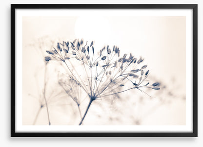 A fresh start