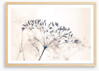 A fresh start