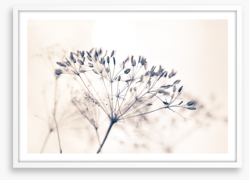 A fresh start