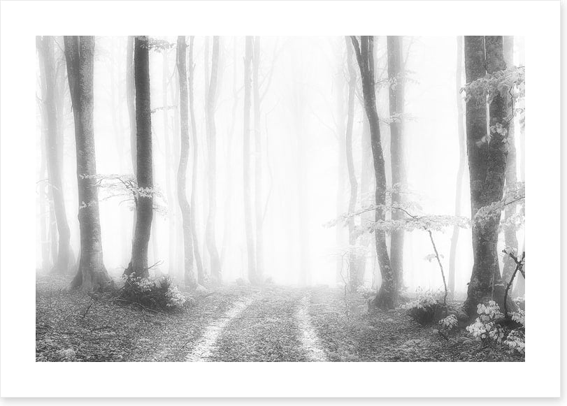 Into the ether