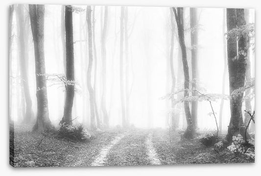 Into the ether