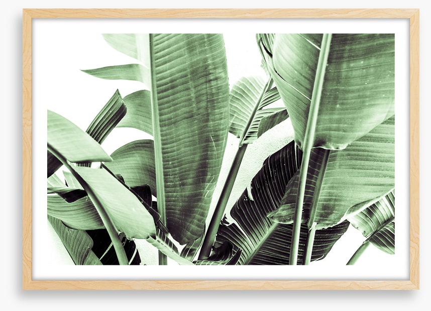 Beneath the banana leaves