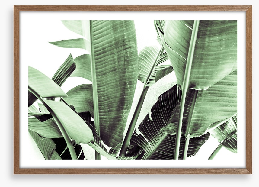 Beneath the banana leaves