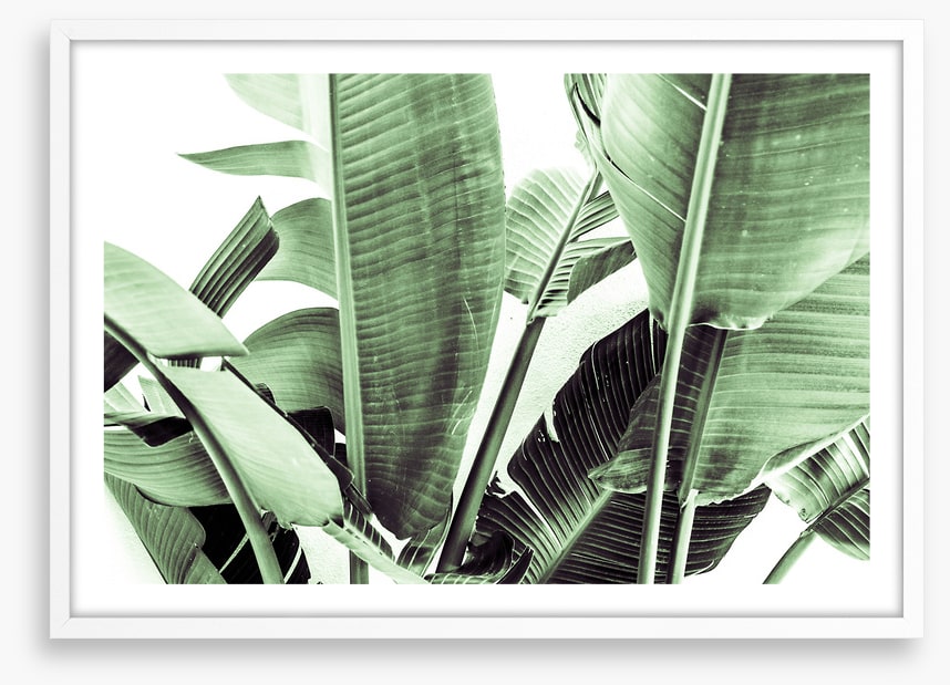 Beneath the banana leaves