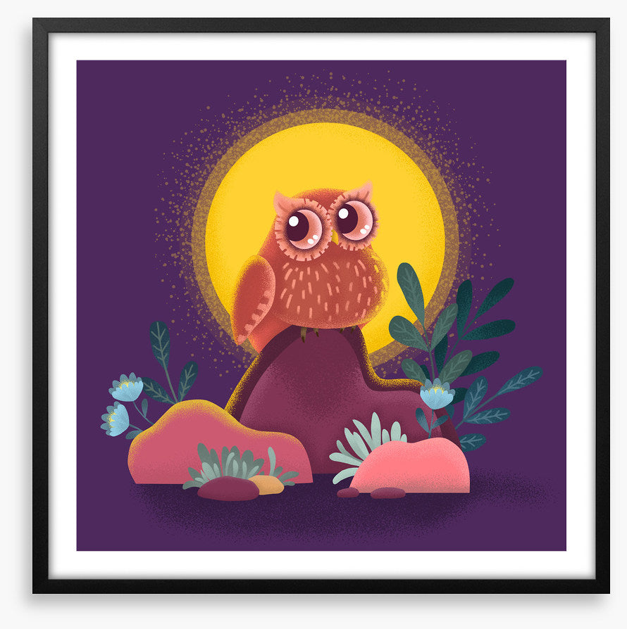 Owls