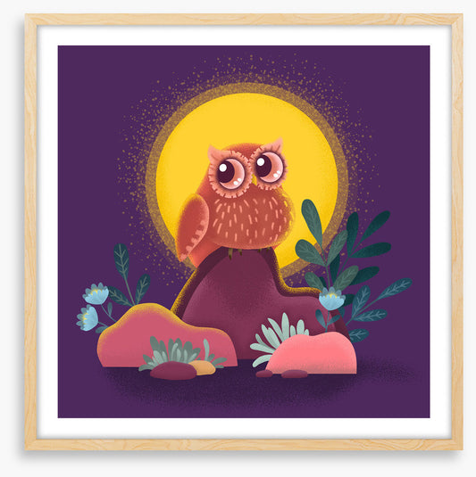 Owls