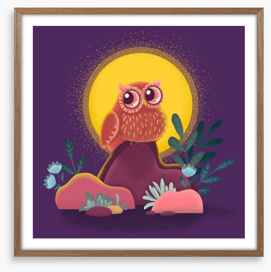 Owls