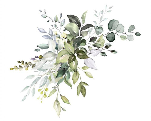 Soft Eucalypt